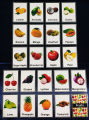 Flash Cards For Kids Laminated. 