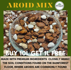 1L/2LPremium Aroid Aroids/Epiphyte Mix All Purpose & Coarse/Chunky Mix Soil Free Monstera/Philodendron/Anthurium/Hoya/Orchids Lightweight and Fluffy with Moderate Water Retention & Aeration Properties