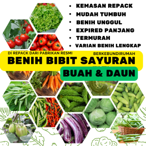 Macam Macam Bibit Sayur Sayuran Paket Lengkap Varian Unggulan Macam macam Benih Sayur Daun Buah