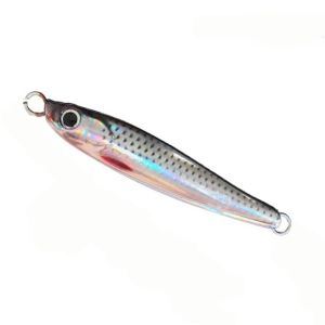 FXUP 10g 20g Mồi câu loại 2 cái Không có móc Đĩa sắt đựng cá Đa năng Lớp phủ UV Jig hình chữ S Dành cho Pike