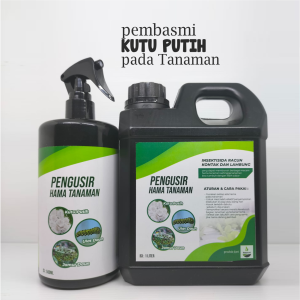 Pengusir Hama Tanaman | JAMUR DAUN DAN LALAT DAUN BERSIH