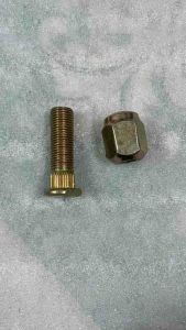 1 bu lông tắc kê cầu liềncầu rút gồm bu lông phi 12 và tán ốc tắc kê dùng cà lêđầu khẩu 19