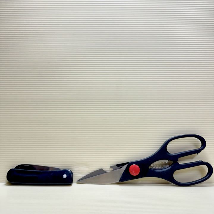 Scissor + Small Knife / Gunting + Pisau Kecil / 剪刀+小刀 | Lazada