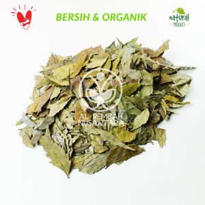 Daun Mimba atau Neem Kering 1kg - Kualitas Terjamin