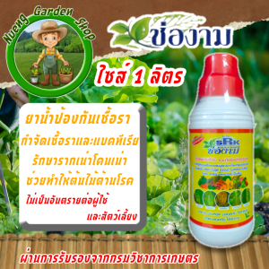 ช่องาม ปุ๋ยน้ำ บำรุงใบ บำรุงดอก กำจัดเชื้อรา กำจัดศัตรูพืช น้ำส้มควันไม้ B-1 ไม้ดอกไม้ประดับ สวนครัว