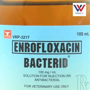 Bacterid 100ml for Improved Animal Condition bacterid injectable fighting bacterid for piglets