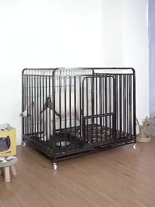 [SG] Dog Cage / Dog House Crate – Thick & Durable (Upgraded) | Cat & Rabbit Cage with Toilet Separation