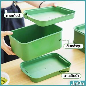 JD กล่องเพาะถั่วงอก ถาดเพาะต้นอ่อน ไม่ต้องใช้ดิน นำกลับมาใช้ใหม่ได้ 1ชุด bean sprouts tray