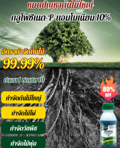 เกลือแอมโมเนียมกลูโฟซิเนตบริสุทธิ์ 10% ฆ่าวัชพืชโดยไม่ทำลายดิน