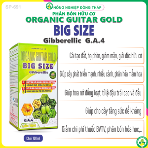 Phân Bón Hữu Cơ ORGANIC GUITAR GOLD BIG SIZE Gibberellic G.A.4 Lớn Trái – Giúp Trái Lớn Nhanh Lên Màu Đẹp Trái Siêu Đâm Chồi Dưỡng Cây Dày Lá Siêu Ra Hoa Đậu Quả Kéo Bông Mập Bông Chống Rụng Hoa Trái Non Thối Trái (Chai 100ml)