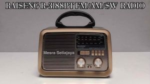 RAISENG R-3188BT Portable Fm Radio with USB/TF/Bluetooth Player复古风格收音机