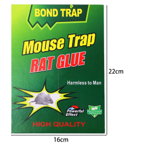 20/10 ชิ้น กาวดักหนูแบบเหนียวพิเศษ / กับดักหนูขนาดใหญ่แบบกาวเหนียวพิเศษในอาคารและกลางแจ้ง / กาวดักหนูแบบเหนียวพิเศษ / ดักหนูในร่มและกลางแจ้งได้อย่างมีประสิทธิภาพ