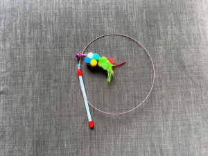 CẦN CÂU DÂY THÉP GẮN CẦU CÓ CHUÔNG CHO MÈO