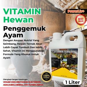 Vitamin penggemuk Ayam paling ampuh Booster Ayam cepat besar gemuk Sehat