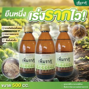 เพิ่มราก Add Roots สารช่วยการแตกราก ขนาด 500 ซีซี จำนวน 3 ขวด ฟื้นต้นโทรม กระตุ้นรากแข็งแรง เร่งราก