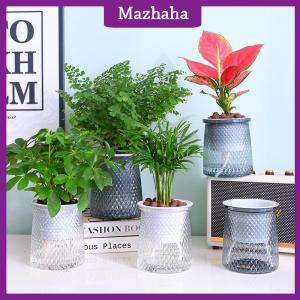 Mazhaha Double-layer Self Watering Plant Pot Transparent Plastic Flower Vase Automatic Lazy Potted Flower Pot Hydroponic Flowerpot Decor