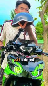 Mũ Bảo Hiểm Cá Heo Trend Xu Hướng Thương Hiệu Cá Heo