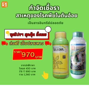 อ้อย รากเน่า โคนเน่า ใบไหม้ ราสนิม กำจัดเชื้อราในพืชทุกชนิด เป็นสารชีวภาพปลอดภัย ปลอดสารพิษ ไอเอส และ FK-T