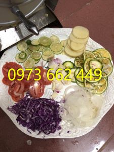 Máy thái lát gừng giềng hành tỏi và các quả cam chanh thái sung chạy điện