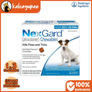 Nexgard Anti Tick and Flea External Parasite Protection Chewable for Dogs