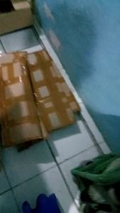 { PAKET MURAH 2PCS SABIT 37 cm } Sabit baja per super tajam - Alat babat rumput tebal padi dan jagung - Alat tani - Alat pemangkas - Sabit madura super tajam