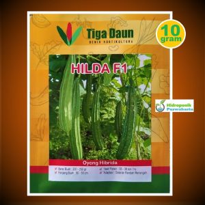 Benih Oyong Gambas Hilda F1 Isi 10 Gram Cap Tiga Daun