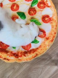 SEIS 2 Pcs Cat Mat and Blanket SetWarm Dog Pizza Pad WinterBlanketS Cute Pizza Shape Sleeping Bed Comfortable Floor Mat Indoor Rest Accessories Soft Fleece Mat for KittenPuppyTeddyBichon