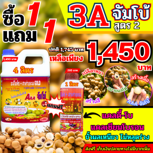 จะเด็ด AAA 3เอ จัมโบ้ แกลลอน 4 ลิตร สูตรสำเร็จสำหรับผลโตต้องไม่แตก เร่งผล ผลดก ผลโต ผลงาม ได้เกรดคุณภาพ