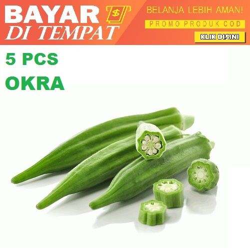 Bayar Di Tempat - 5 Biji / Benih / bibit OKRA HIJAU - Seed buah - bibit sayur mudah tumbuh - RANITASHOP GROSIR