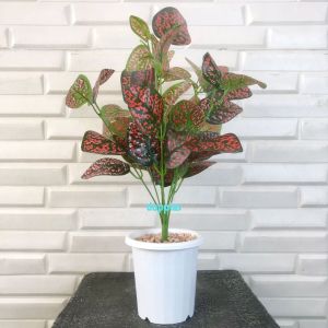 Pohon Artificial Tanaman Hias Daun Aglonema Ruby X9 Pot Yogap Dekorasi Meja Kantor