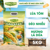 Gạo ST25 Lúa Tôm - Túi 5kg - Thương hiệu Gạo Ơi