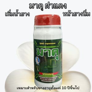 ️มาคุ (ฝาแดง) 500cc ปุ๋ยทาหน้ายาง ช่วยเพิ่มประสิทธิภาพ พร้อมบำรุงหน้ายาง ของแท้100% ฮอร์โมนทาหน้ายางพารา