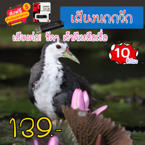 G8shop เสียงต่อ เสียงนกกวัก แฟลชไดร์ฟเสียงนกกวัก สำหรับต่อหรือล่อนก ความยาว 10 ชม.เสียงดัง เสียงใสกังวาน ได้ผล100%