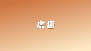 Tiger Cat M133 Wireless Bluetooth Three-Mode Transparent Mouse Rechargeable Bass Girls Tablet Laptop Office