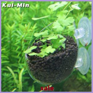 Kui-Min Fish Tank Mini Pot Water Potted Aquatic Planting Cylinder Cup