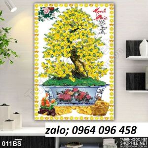 Tranh gạch 3d hoa mai - gạch tranh 3d hoa mai - 765CVB