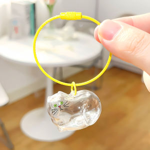 Key Chain Transparent Acrylic Cat Keychain Collecting Hair Storage Bottle Pendant Commemorative Pendant
