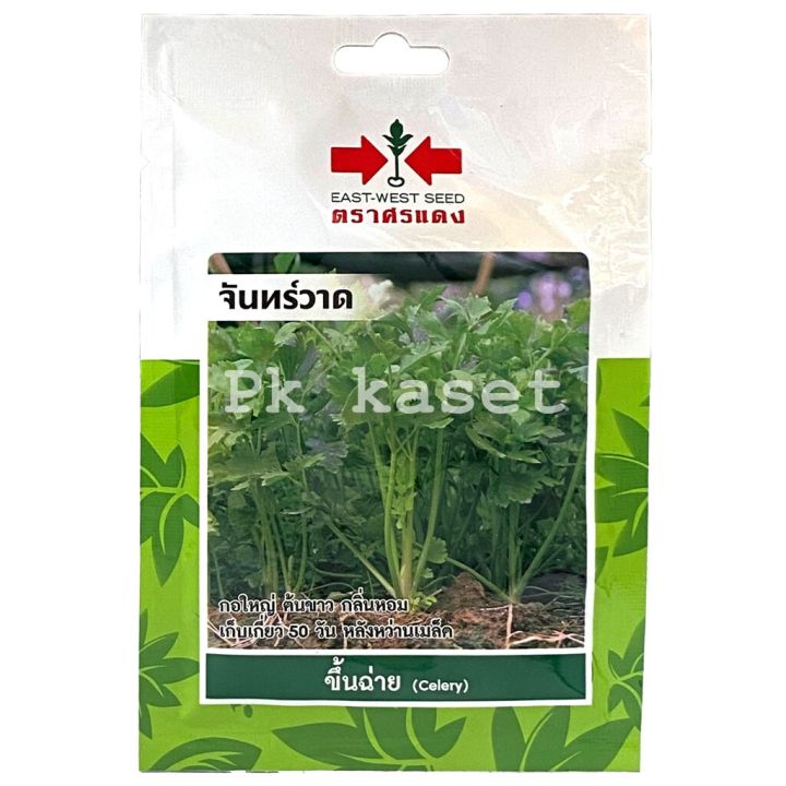 เมล็ดขึ้นฉ่าย จันทร์วาด ศรแดง 2,000 เมล็ด ซองประหยัด