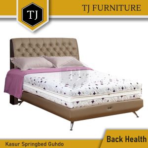 Guhdo Springbed Back Health Latex / Kasur Spring Bed - Full Set Divan Virginian