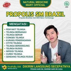 Obat Tetes Telinga Congek Bernanah Curek Telinga Sakit Telinga Obat Telinga Berdenging Gatal Berair Infeksi Telinga Obat Telinga Tersumbat Dengan Propolis SM Brazil 100% Asli