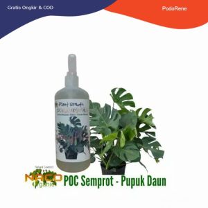 Pupuk Kilap Daun - Plant Growth Pupuk Daun Spray Siap Pakai - POC Semprot 500 ml - Pupuk Tanaman Hias  Bunga  Kembang