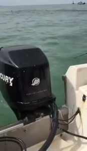 10Pcs Shrimp Squid Hook Squid Jig Fishings Baits Hook Barbed Umbrellas Fishings Hook Sea Fishings Fishes Hook