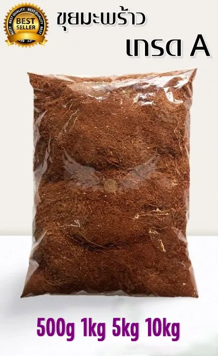 10 อันดับ ขุยมะพร้าวและกาบมะพร้าวสับที่ดีที่สุดสำหรับสวนของคุณ อัปเดตปี 2025