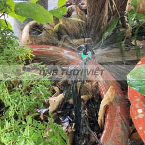 Béc tưới cục bộ đuôi 6 ly (xanh đen) | Béc sử dụng cho hệ thống tưới tại gốc