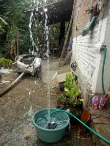Pompa Air Untuk Kolam Ikan Original Yamano WP 104 Sirkulasi Aquarium 2000 Liter Perjam Tanpa Kuras Aksesoris Filter Pilter Pompa Celup WP-104 Akuarium Mini Aquascape Aguarium Celub Clup Skimmer Celup Tenaga Full Set Murah