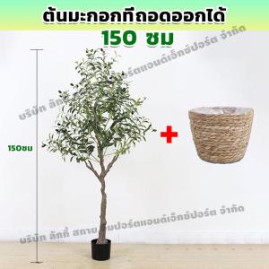 ส่งของในไทย ต้นไม้ปลอม ต้นมะกอกโอลีฟ ต้นไม้ปลอมแต่งห้อง ต้นโอลีฟ ต้นไม้ปลอมขนาดใหญ่ ต้นไม้ประดิษฐ์ ต้นมะกอกปลอม พร้อมกระถาง ตกแต่ง ต้นมะกอกปลอมสไตล์เมดิเตอร์เรเนียน ต้นไม้ปลอมพร้อมกระถาง สำหรับตกแต่งบ้านออฟฟิศให้น่าอยู่ยิ่งขึ้น ลำต้นสีน้ำตาลเหมือนของจริง