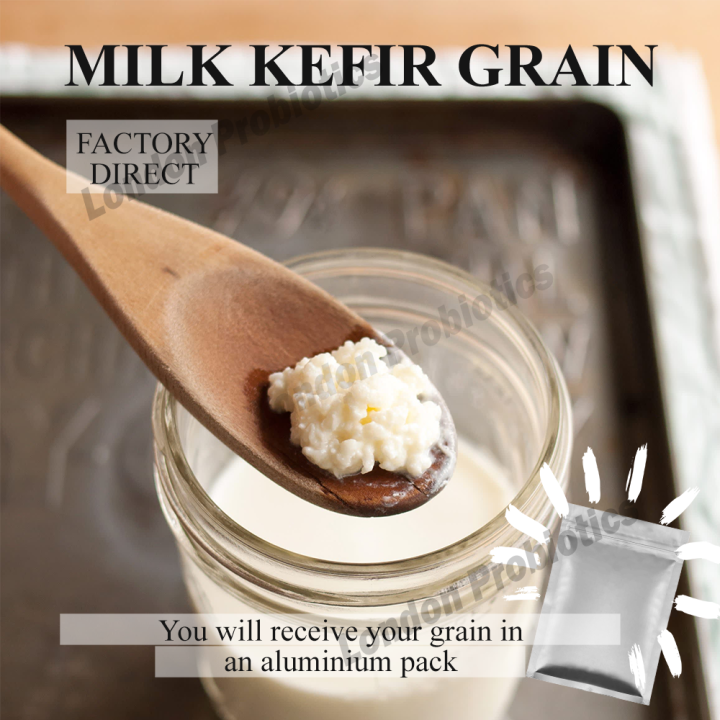 Active Milk Kefir Grains (25g + Starter Milk + guidance by professional