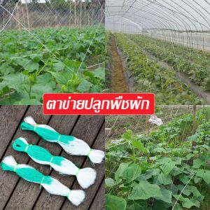 ตาข่ายปลูกผัก 100 โครงไม้เลื้อย ค้างไม้เลื้อย ตาข่ายพลาสติก ต้นไม้เลื้อย อวนแตง หลักไม้เลื้อย ตาข่ายปลูกแตงกวา ตาขายปลูกผัก อุปกรณ์แต่งสวน ตาข่ายการเกษตร