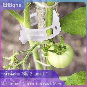 [COD] EHBqna KITCHEN คลิปหนีบต้นไม้พลาสติก100ชิ้นที่ปลอดภัยคลิปสำหรับอัพเกรดต้นไม้คลิปสวนสำหรับปีนต้นไม้คลิปยึดต้นไม้