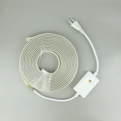 Anymore LED Strip Light Plug Set 220V Power Supply Adapter with Pins